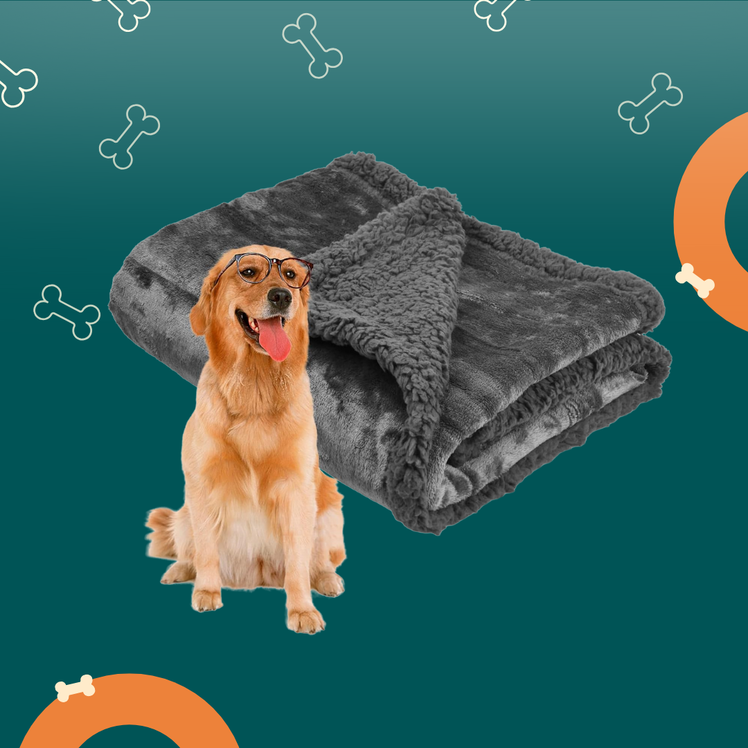 Couverture de lit imperméable pour animaux