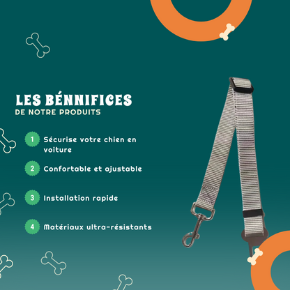 Ceinture de sécurité de voiture pour chien