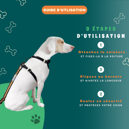 Ceinture de sécurité de voiture pour chien